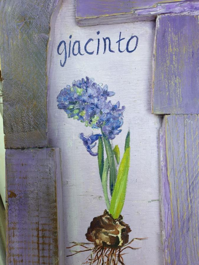 B & B La Primavera Pergola Exterior foto