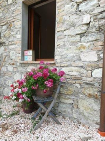 B & B La Primavera Pergola Exterior foto