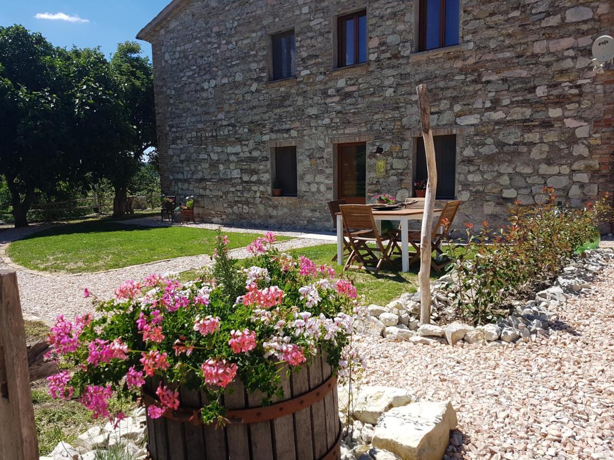 B & B La Primavera Pergola Exterior foto