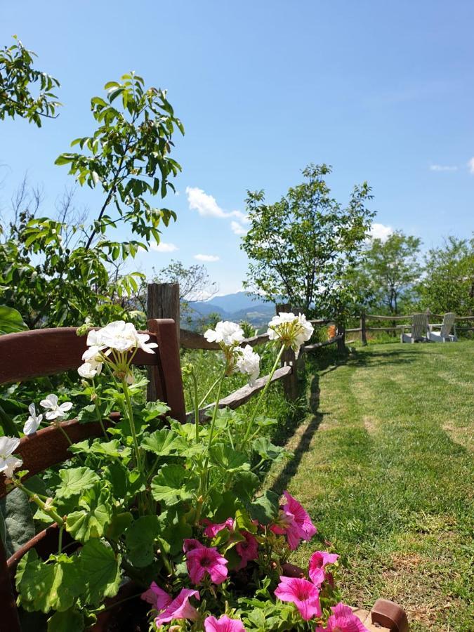 B & B La Primavera Pergola Exterior foto